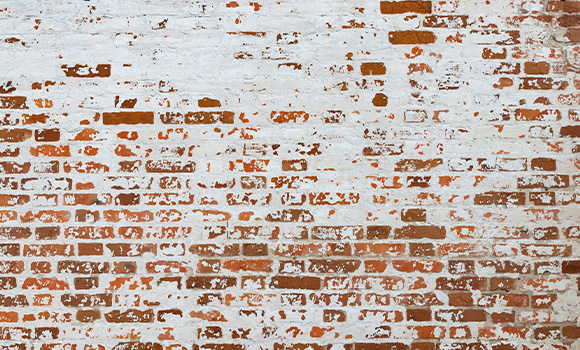 aerial view of a roof showing clean and dirty sections with moss and dirt buildup indicative of weathering and maintenance needs roof cleaning and restoration tips for 22 homeowners