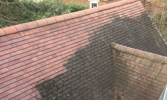 architectural entrance with an arched doorway leading to a corridor flanked by brick walls and greenery on either side showcasing ten unique details of design