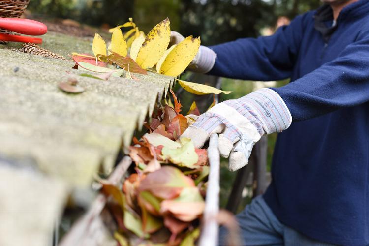 How Often Should Gutters Be Cleaned? Most homes need gutter cleaning at least once a year, while properties surrounded by trees should usually be cleaned twice yearly. How often should gutters be cleaned? depends on nearby vegetation, roof moss, the type of guttering and how exposed your property is to wind and weather.Keeping gutters clear helps prevent leaks, damp walls and avoidable repair bills. At Ultra Cleaning Services, we provide reliable gutter cleaning Winchester homeowners, landlords and property managers can depend on, with coverage across Hampshire and beyond.