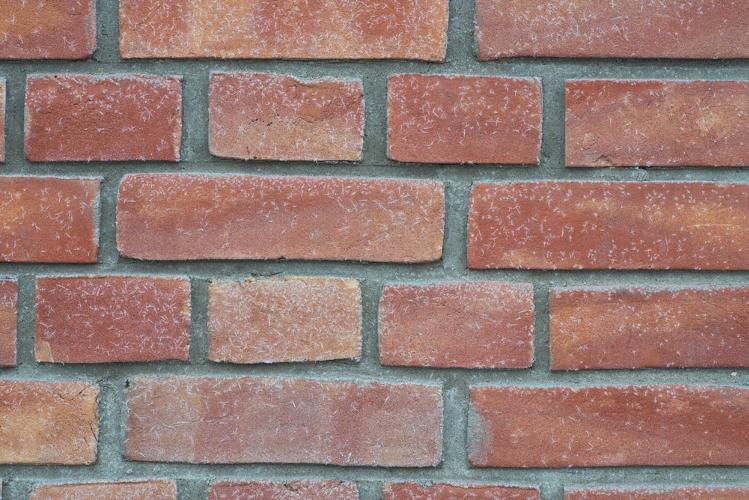What Is Frost Weathering and How Does It Damage Brickwork? Frost weathering is what happens when water trapped in your walls freezes, expands and cracks brick, mortar and render from the inside. Healthy, breathable brick dries out between showers and copes with most frosts. But painted brick and dirty, algae-covered render hold water in, and that's where the real winter damage starts. This guide covers what frost weathering is, the signs your walls are struggling, and how exterior paint removal and render cleaning from Ultra Cleaning Services can get your brickwork healthy before the frosts arrive.